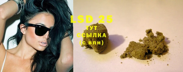 дурь Алексин