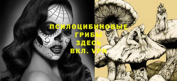 ПСИЛОЦИБИНОВЫЕ ГРИБЫ Алексеевка