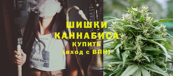 ПСИЛОЦИБИНОВЫЕ ГРИБЫ Алексеевка