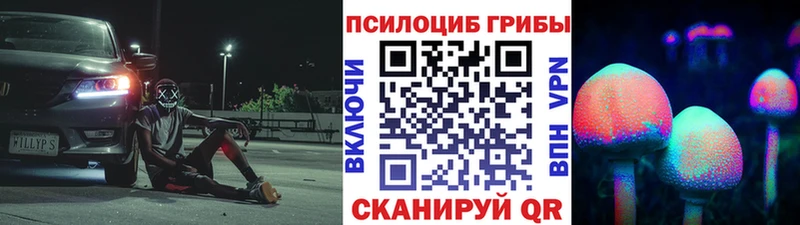 дарнет шоп  Приморск  Псилоцибиновые грибы мухоморы 